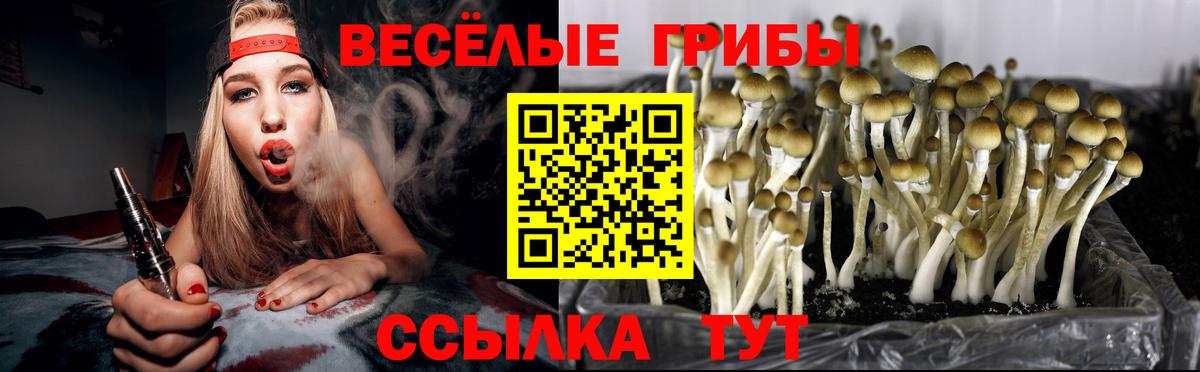 Галлюциногенные грибы Cubensis Челябинск
